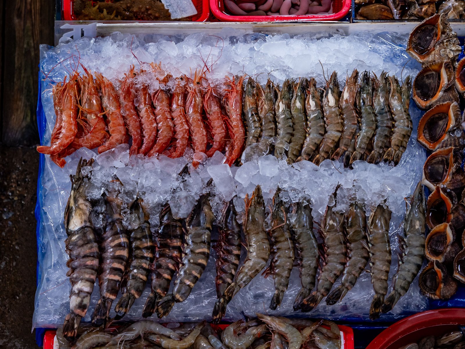 Frozen fish and prawns